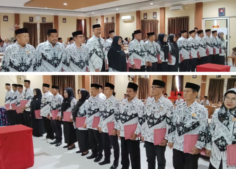 Bidang PGRI Kepulauan Yapen - Persatuan Guru Republik Indonesia Cabang Kepulauan Yapen